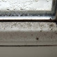 Quel taux d’humidité à l’intérieur de la maison est idéal ?