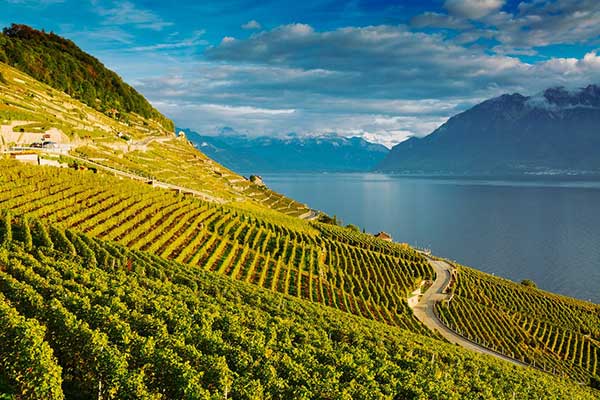 Psychologue et désert médical en Suisse